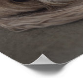 USA, New York, New York City, Brooklyn, Cockapoo Poster (Hoek)