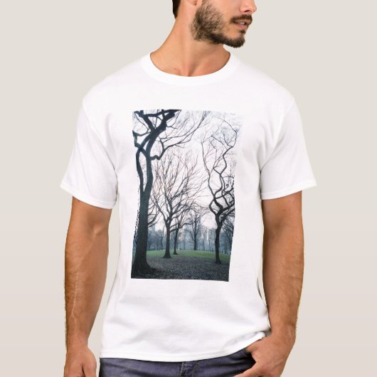 USA, New York, New York City: Central Park T-shirt (Voorkant)