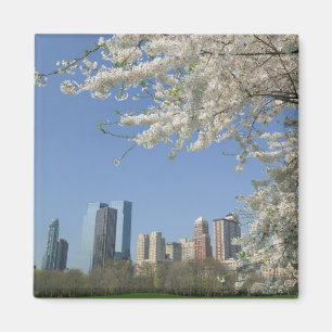 USA, New York, New York City, Manhattan: 4 Magneet