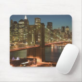 USA, New York, New York City, Manhattan: Muismat (Met muis)