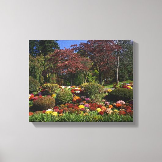 USA, New York, Saugerties, Seamon Park. herfst Canvas Afdruk (Voorkant)