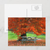 USA, New York, West Park. Bench Under Maple Briefkaart (Voorkant / Achterkant)