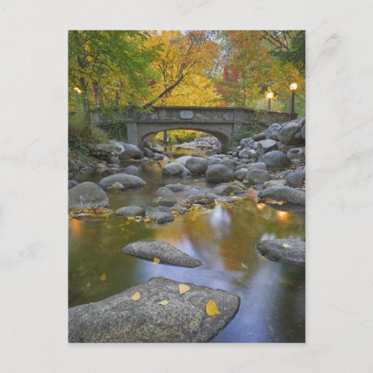 USA, Oregon, Ashland, Lithia Park. Autumn Briefkaart (Voorkant)