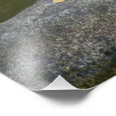 USA, Oregon, Ashland, Lithia Park. Autumn Foto Afdruk (Hoek)