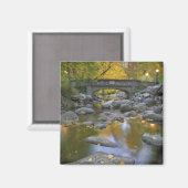 USA, Oregon, Ashland, Lithia Park. Autumn Magneet (Voorkant / Achterkant)