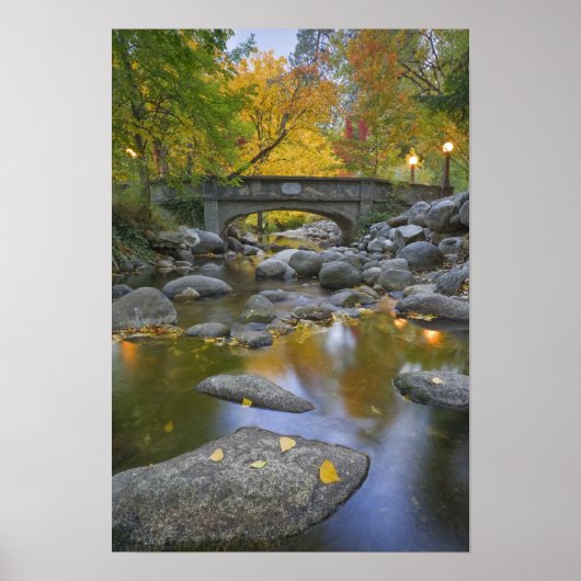 USA, Oregon, Ashland, Lithia Park. Autumn Poster (Voorkant)