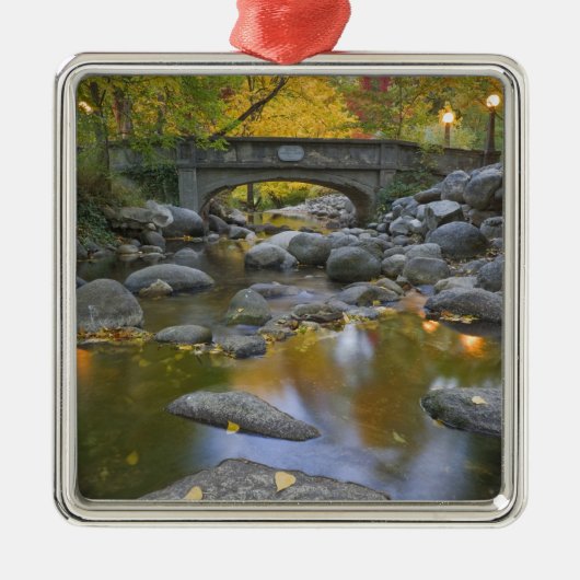 USA, Oregon, Ashland, Lithia Park. herfst Metalen Ornament (Voorkant)