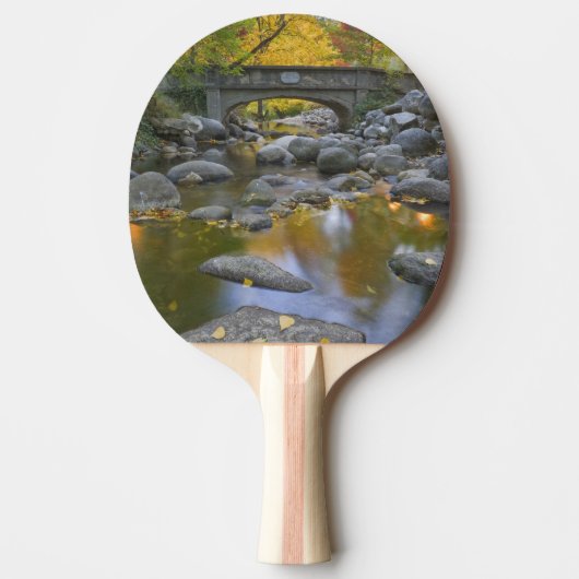 USA, Oregon, Ashland, Lithia Park. herfst Tafeltennisbatje (Voorkant)