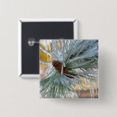 USA, Oregon, Bend. Ponderosa pijnnaalden zijn Vierkante Button 5,1 Cm (Voorkant /achterkant)