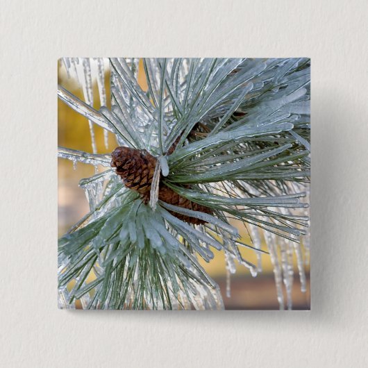 USA, Oregon, Bend. Ponderosa pijnnaalden zijn Vierkante Button 5,1 Cm (Voorkant)