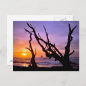USA, Oregon, Cape Meares. Sunset Briefkaart (Voorkant / Achterkant)