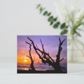 USA, Oregon, Cape Meares. Sunset Briefkaart (Staand voorkant)