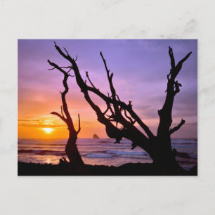 USA, Oregon, Cape Meares. Sunset Briefkaart