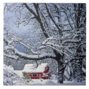 USA, Oregon, Clackamas County. Vers sneeuwdeksel Tegeltje