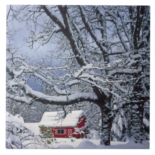 USA, Oregon, Clackamas County. Vers sneeuwdeksel Tegeltje (Voorkant)