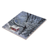 USA, Oregon, Clackamas County. Vers sneeuwdeksel Tegeltje (Zijkant)