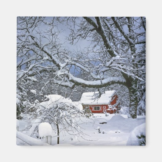 USA, Oregon, Clackamas County. verse sneeuw Magneet (Voorkant)