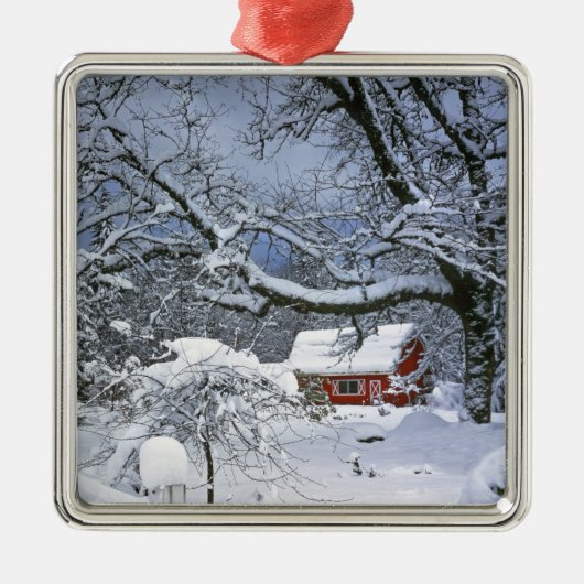 USA, Oregon, Clackamas County. verse sneeuw Metalen Ornament (Voorkant)