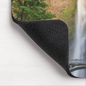 USA, Oregon, Columbia River Gorge, Multnomah Muismat (Hoek)