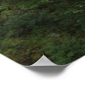 USA, Oregon, Columbia River Gorge, Multnomah Poster (Hoek)