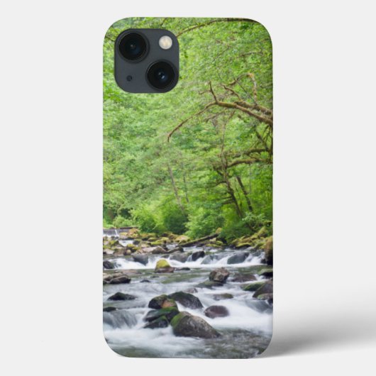 USA, Oregon, Columbia River Gorge, Tanner Creek 4 Case-Mate iPhone Case (Achterkant)