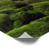 USA, Oregon, Columbia River Gorge, Tanner Creek 4 Poster (Hoek)