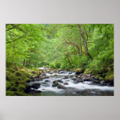 USA, Oregon, Columbia River Gorge, Tanner Creek 4 Poster (Voorkant)