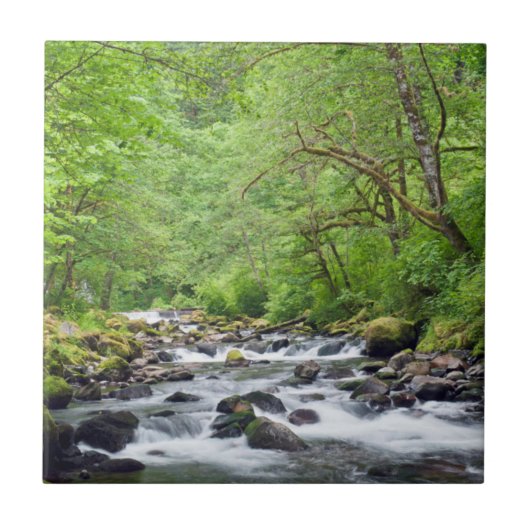 USA, Oregon, Columbia River Gorge, Tanner Creek 4 Tegeltje (Voorkant)