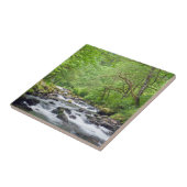 USA, Oregon, Columbia River Gorge, Tanner Creek 4 Tegeltje (Zijkant)