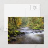 USA, Oregon, Columbia River Gorge, Tanner Creek Briefkaart (Voorkant / Achterkant)