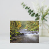 USA, Oregon, Columbia River Gorge, Tanner Creek Briefkaart (Staand voorkant)