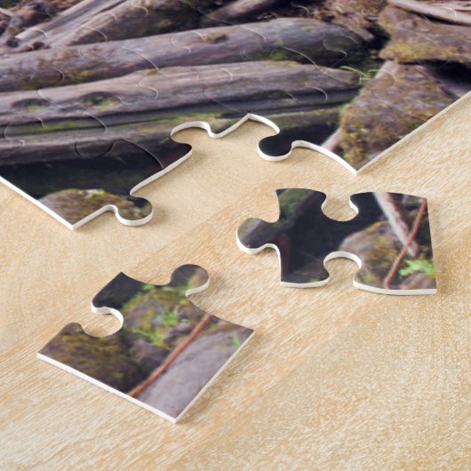 USA, Oregon, Columbia River Gorge, Wahclella Legpuzzel (Zijkant)