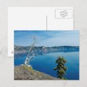 USA, Oregon, Crater Lake National Park 4 Briefkaart (Voorkant / Achterkant)