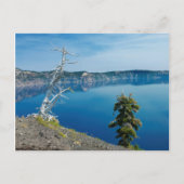 USA, Oregon, Crater Lake National Park 4 Briefkaart (Voorkant)