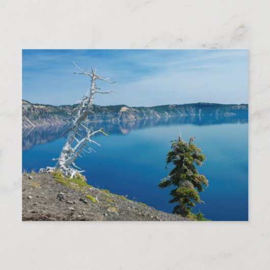 USA, Oregon, Crater Lake National Park 4 Briefkaart (Voorkant)
