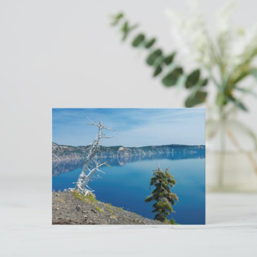 USA, Oregon, Crater Lake National Park 4 Briefkaart (Staand voorkant)
