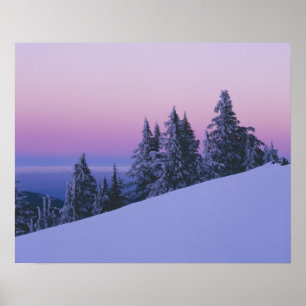 USA, Oregon, Deschutes National Forest, Duusk Poster