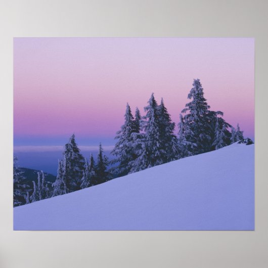 USA, Oregon, Deschutes National Forest, Duusk Poster (Voorkant)