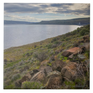 USA, Oregon, Gilliam County, Columbia River Tegeltje