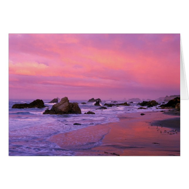 USA, Oregon, Harris State Beach, Brookings. (Voorkant Horizontaal)