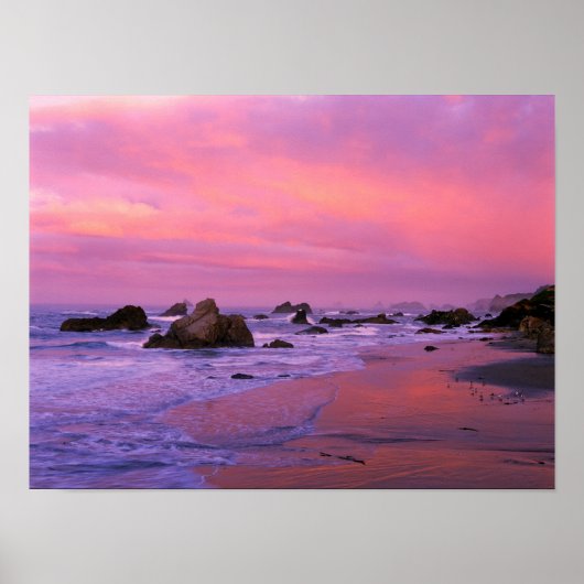 USA, Oregon, Harris State Beach, Brookings. Poster (Voorkant)