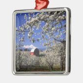 USA, Oregon, Hood River Valley, Par-boomgaard Metalen Ornament (Links)