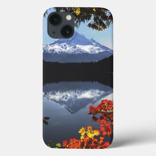 USA, Oregon, Mt. Hood National Forest. Case-Mate iPhone Case (Achterkant)