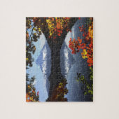 USA, Oregon, Mt. Hood National Forest. Legpuzzel (Verticaal)