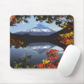 USA, Oregon, Mt. Hood National Forest. Muismat (Met muis)