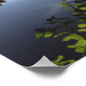 USA, Oregon, Mt. Hood National Forest. Poster (Hoek)