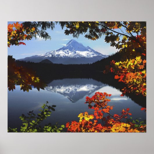 USA, Oregon, Mt. Hood National Forest. Poster (Voorkant)