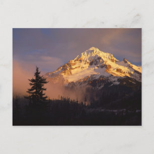 USA, Oregon, Mt. Hood National Forest. Rolling Briefkaart
