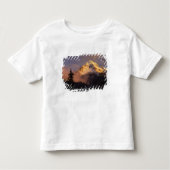 USA, Oregon, Mt. Hood National Forest. Rolling Kinder Shirts (Voorkant)