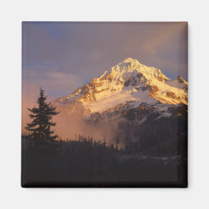 USA, Oregon, Mt. Hood National Forest. Rolling Magneet